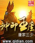 绝世神医腹黑大小姐 夜北