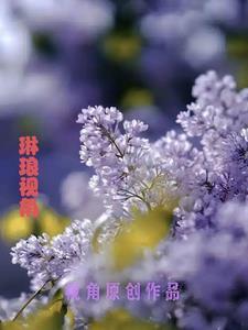 顾淼是哪个里的