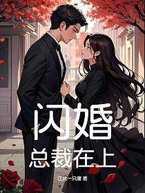 闪婚，总裁在上